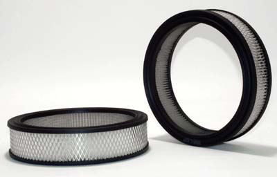 WIX 42160 Air Filter