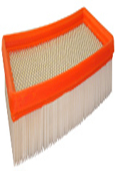 Fram CA7421 Air Filter