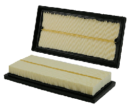 NapaGold 200125 Air Filter (Wix WA10125)