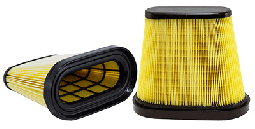 NapaGold 200171 Air Filter (Wix WA10171)