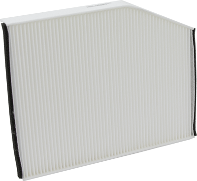 WIX WP10655* Cabin Air Filter